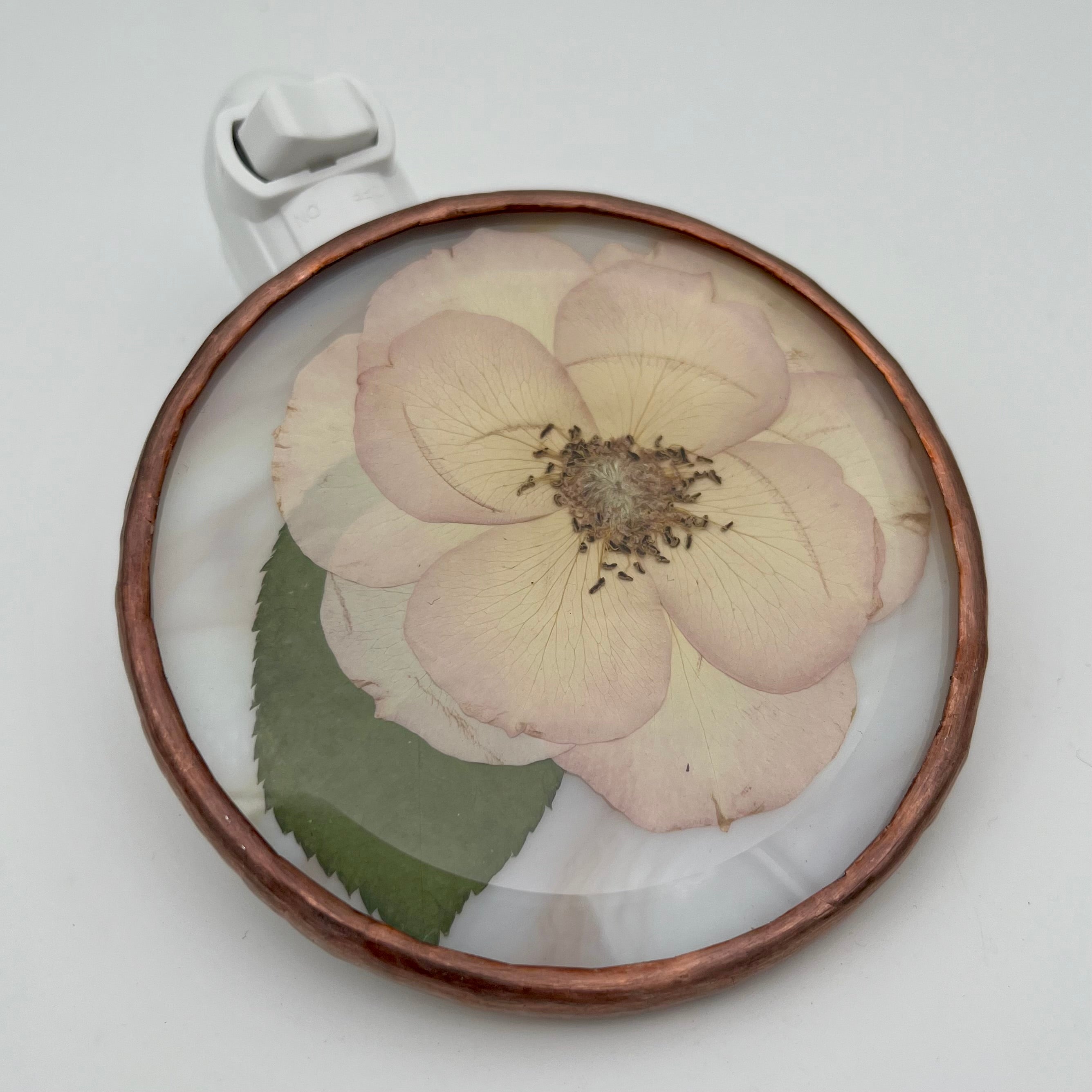 Jen Rose Stained Glass Night Light