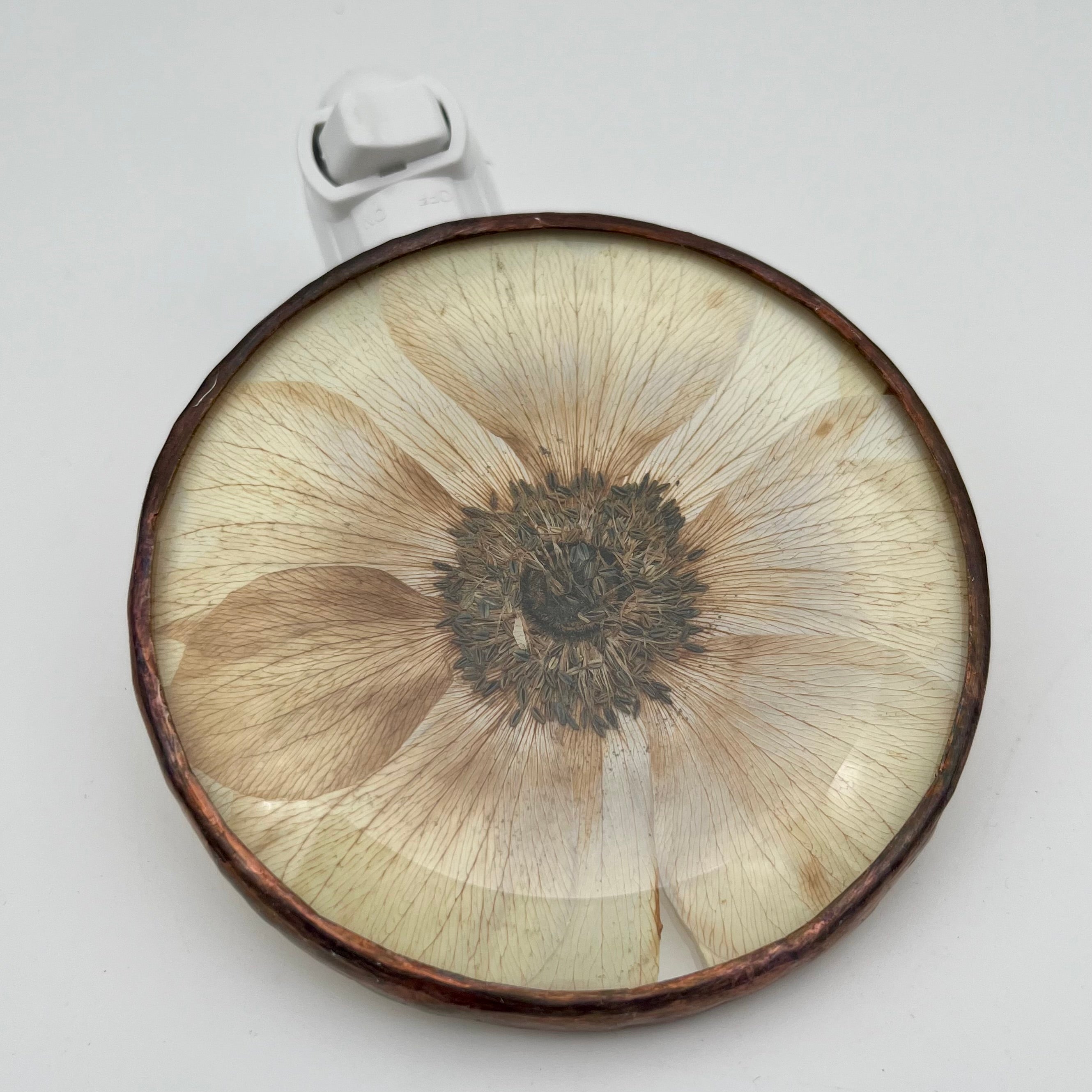 Angelica Anemone Stained Glass Night Light