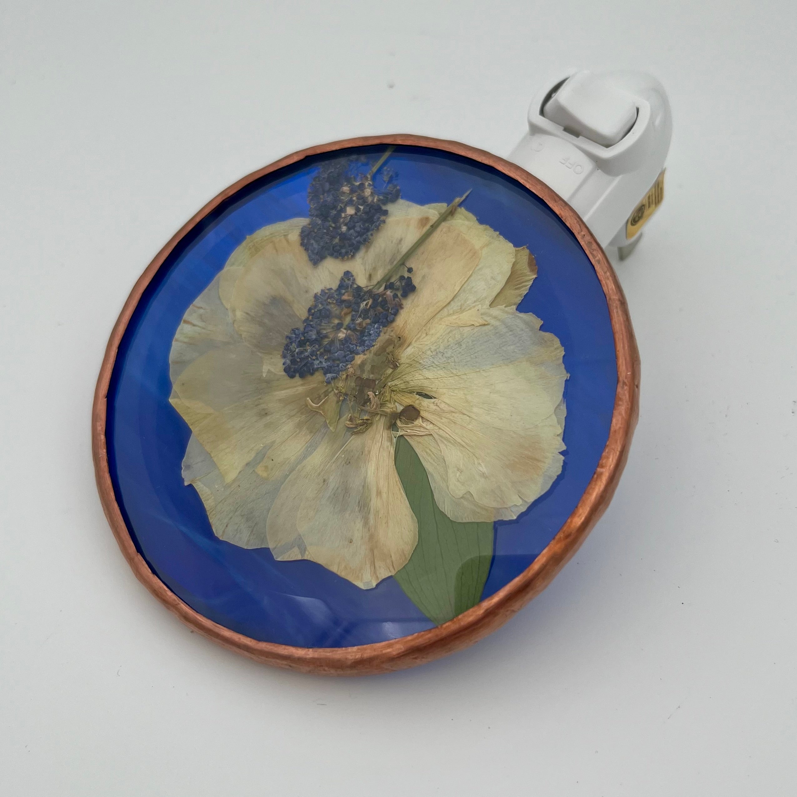 Skyla Blue Ceanothus Stained Glass Night Light