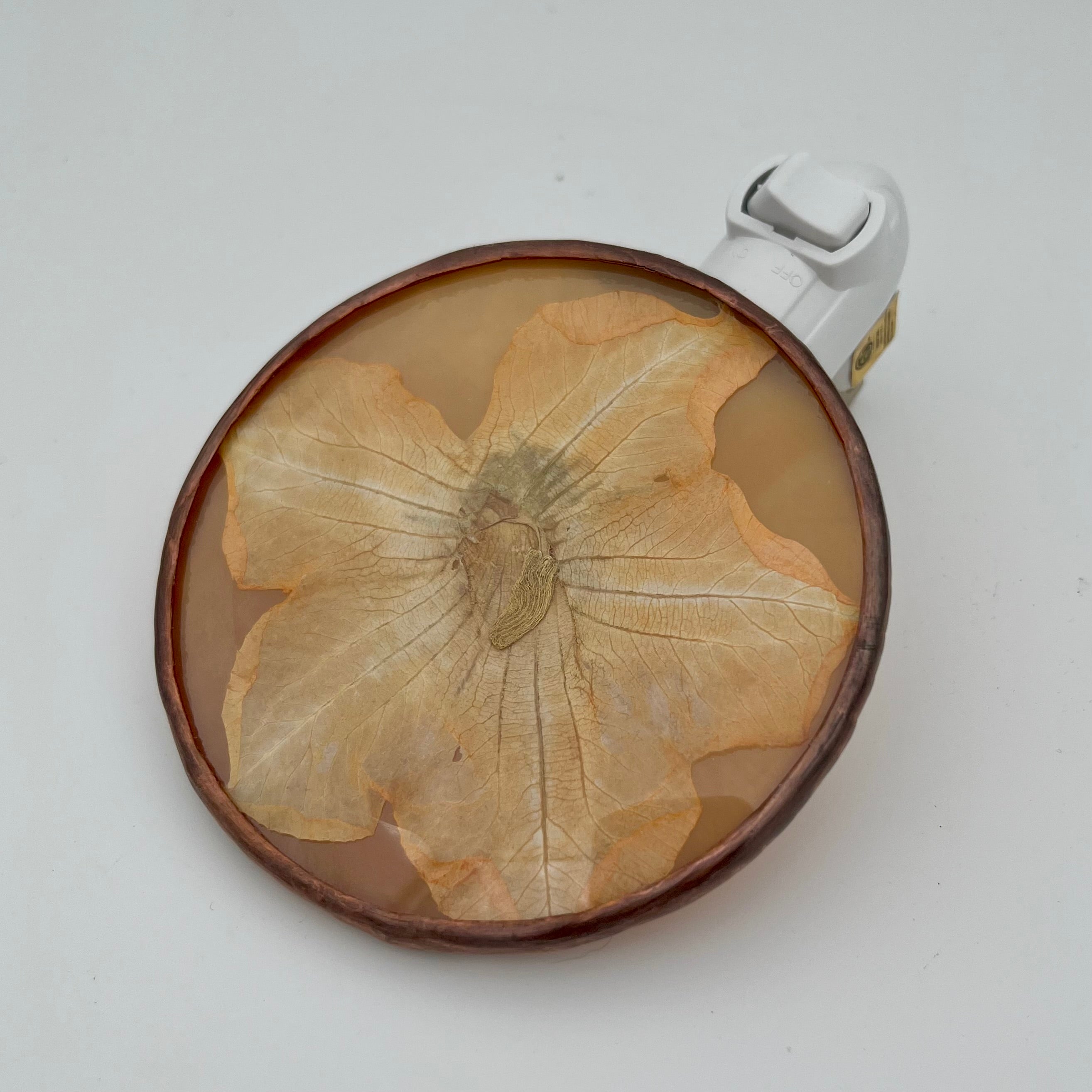 Harper Amber Pumpkin Blossom Stained Glass Night Light
