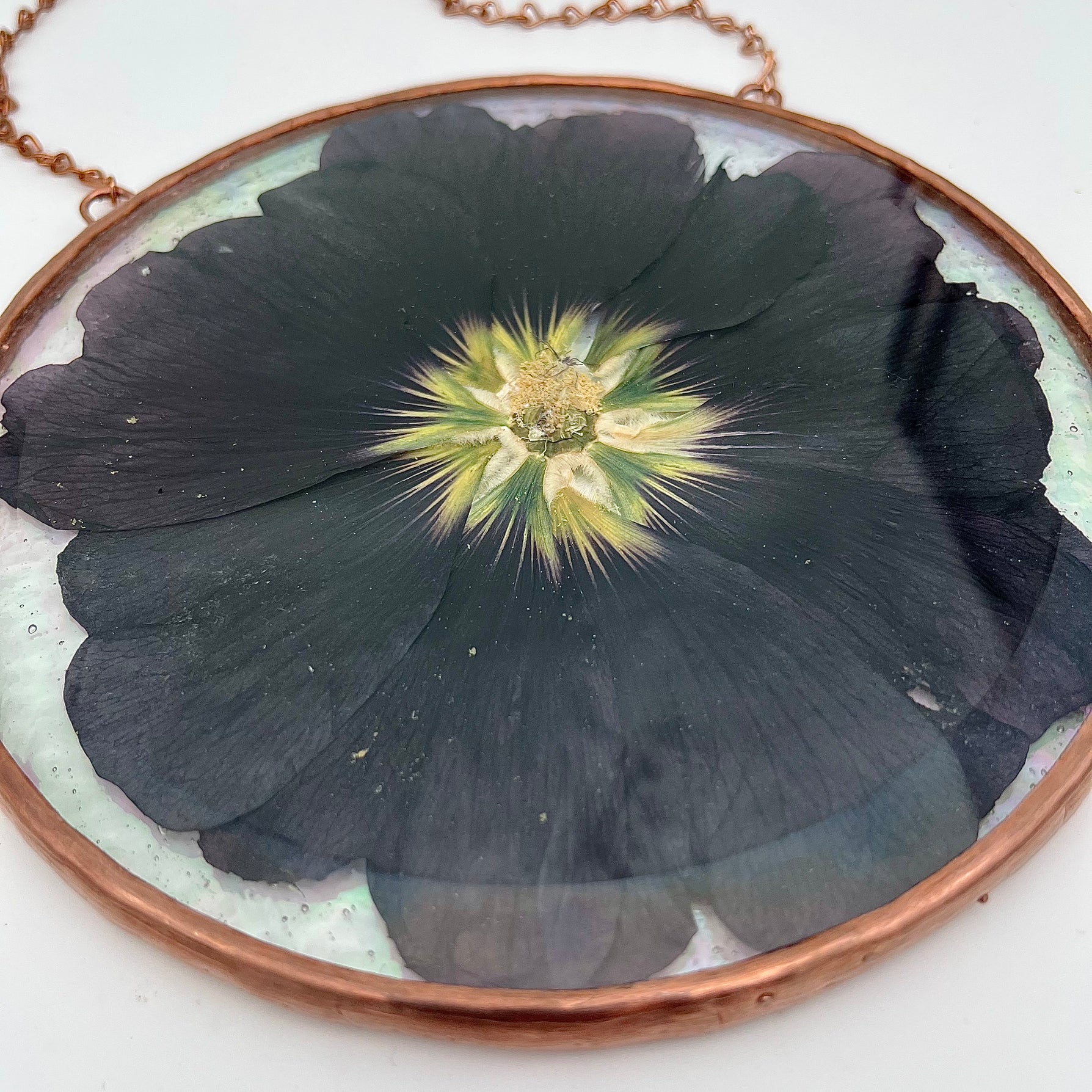 Ethel Black Hollyhock Stained Glass Sun Catcher
