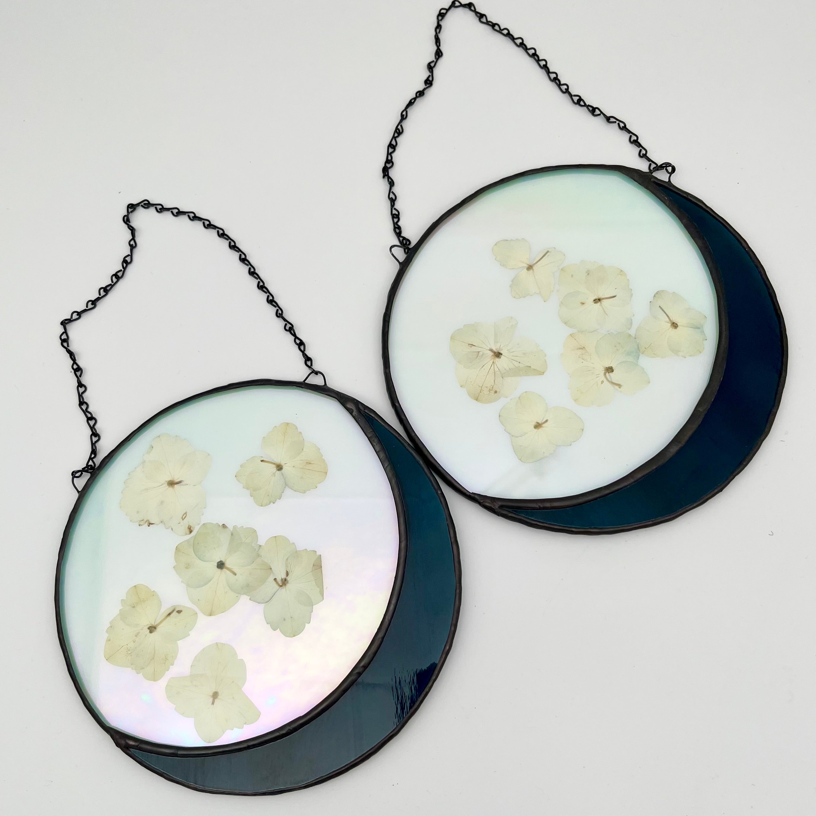 Cora Pressed Hydrangea Moon Sun Catcher
