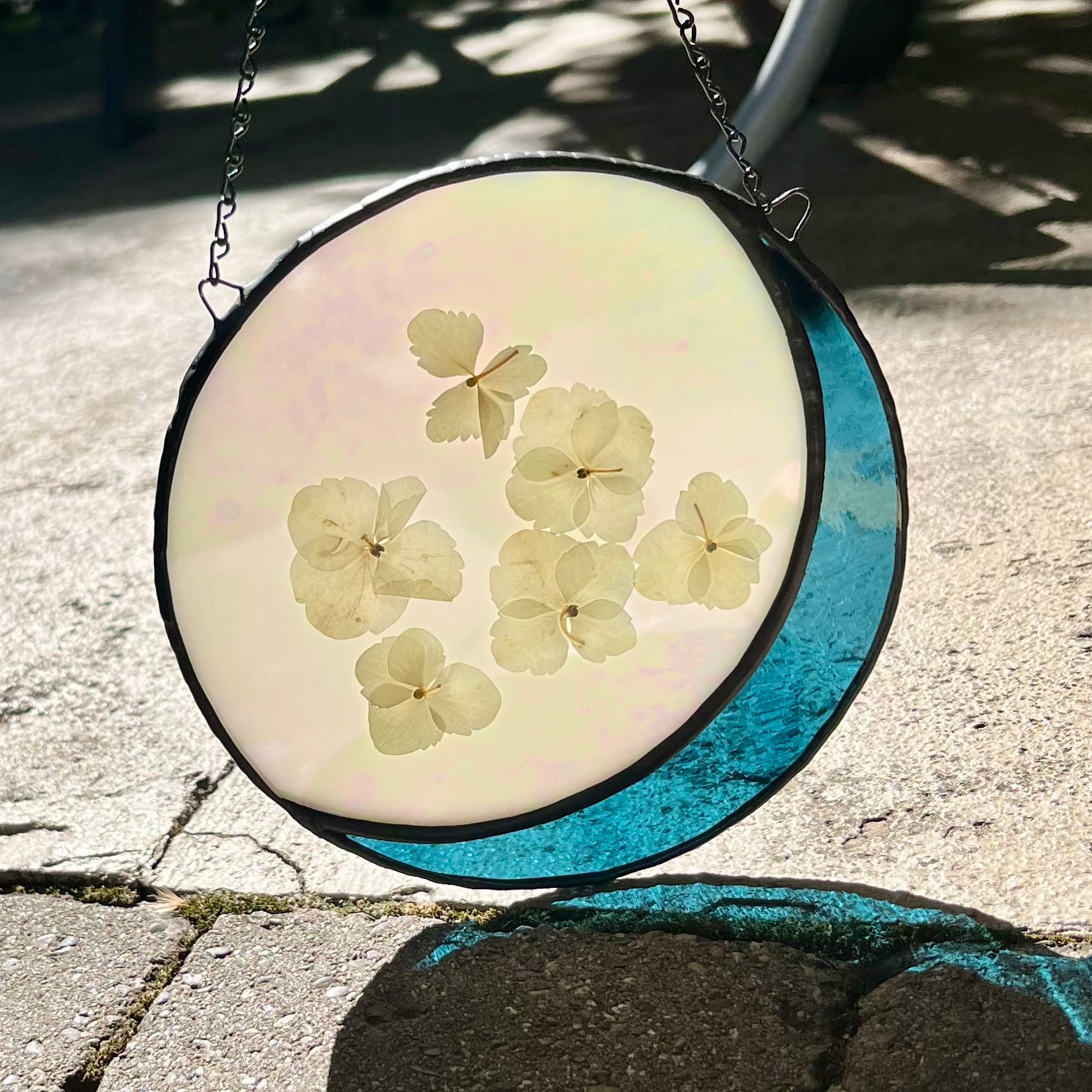 Cora Pressed Hydrangea Moon Sun Catcher