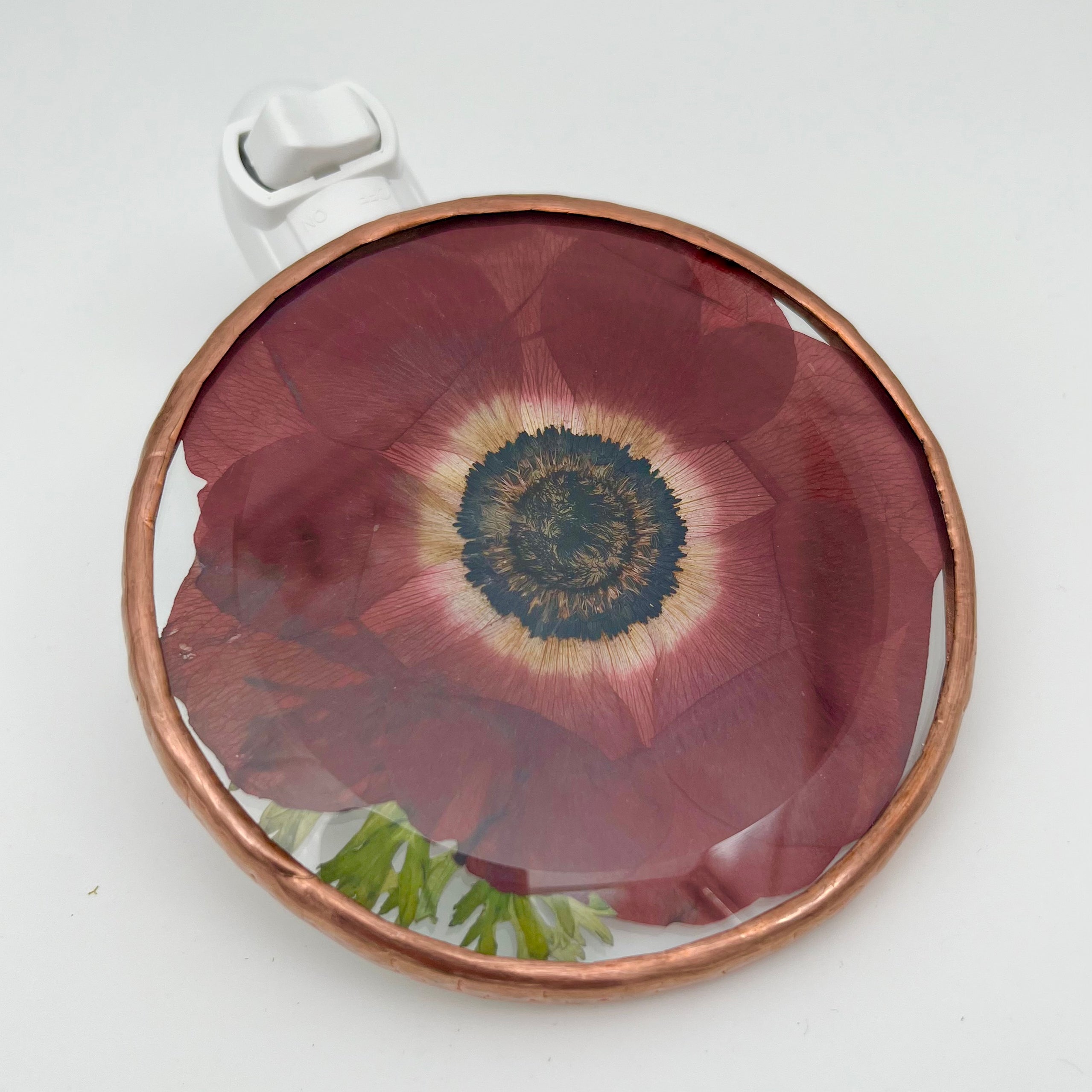 Sylvia Red Anemone Stained Glass Night Light