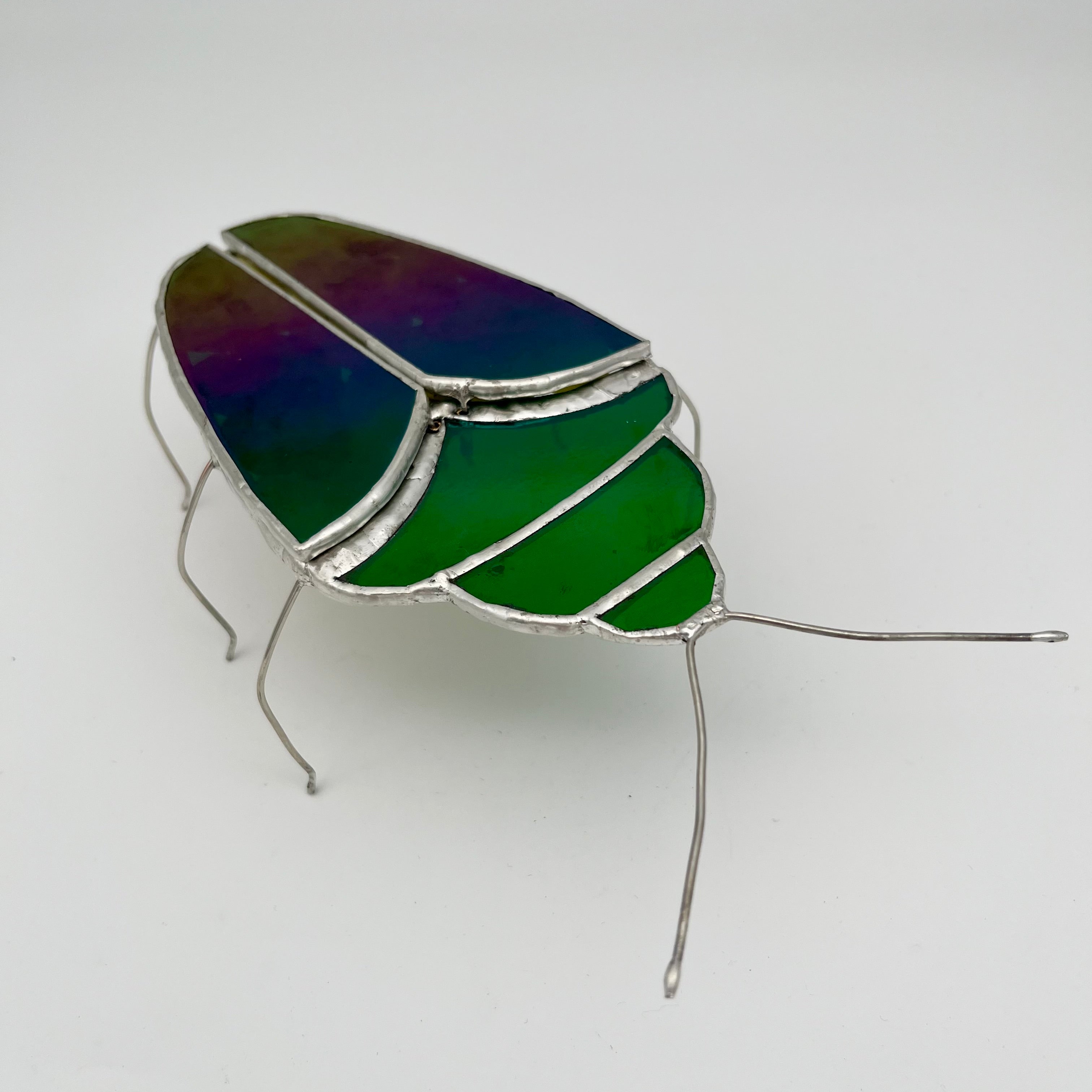 June Iridescent Green Beetle