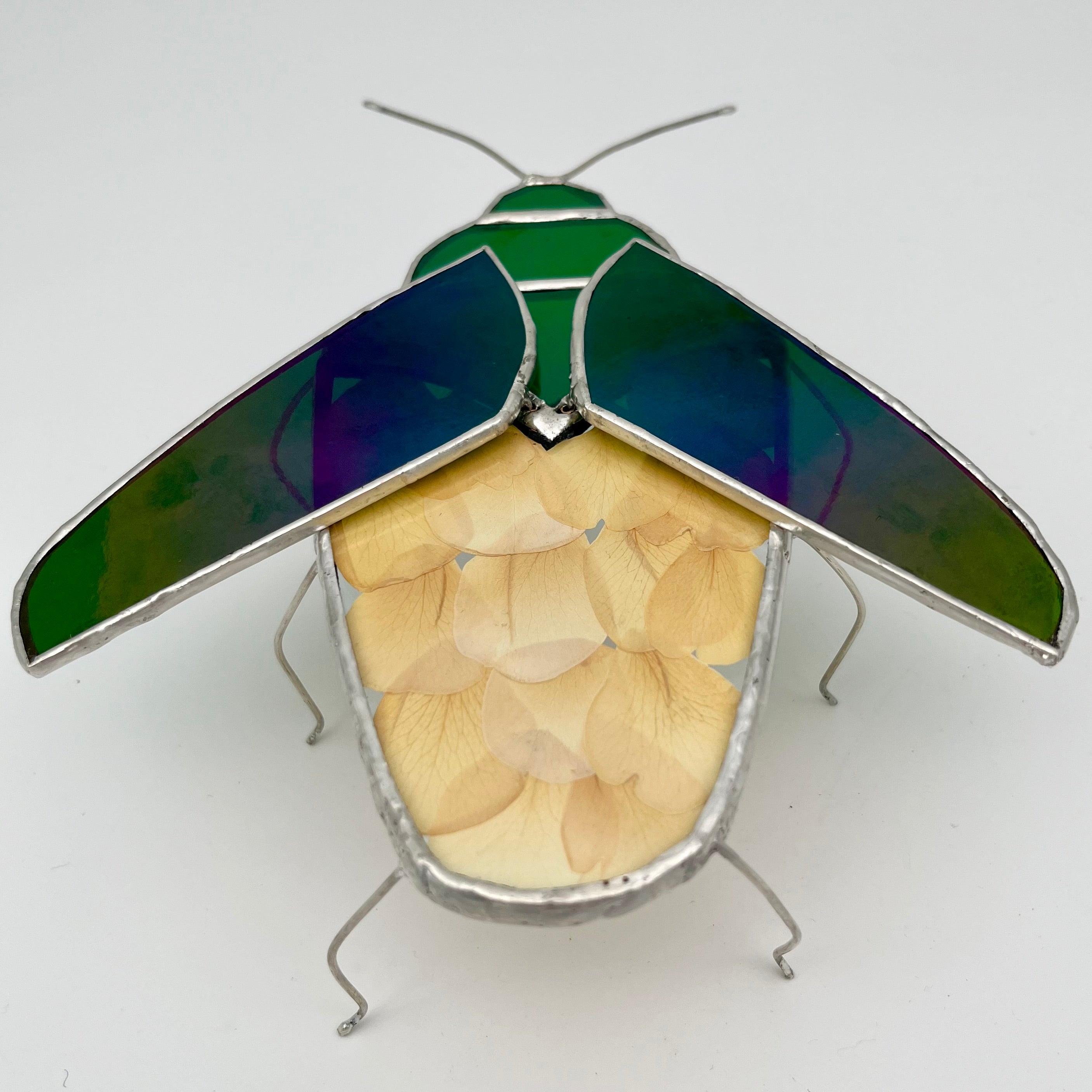 June Iridescent Green Beetle