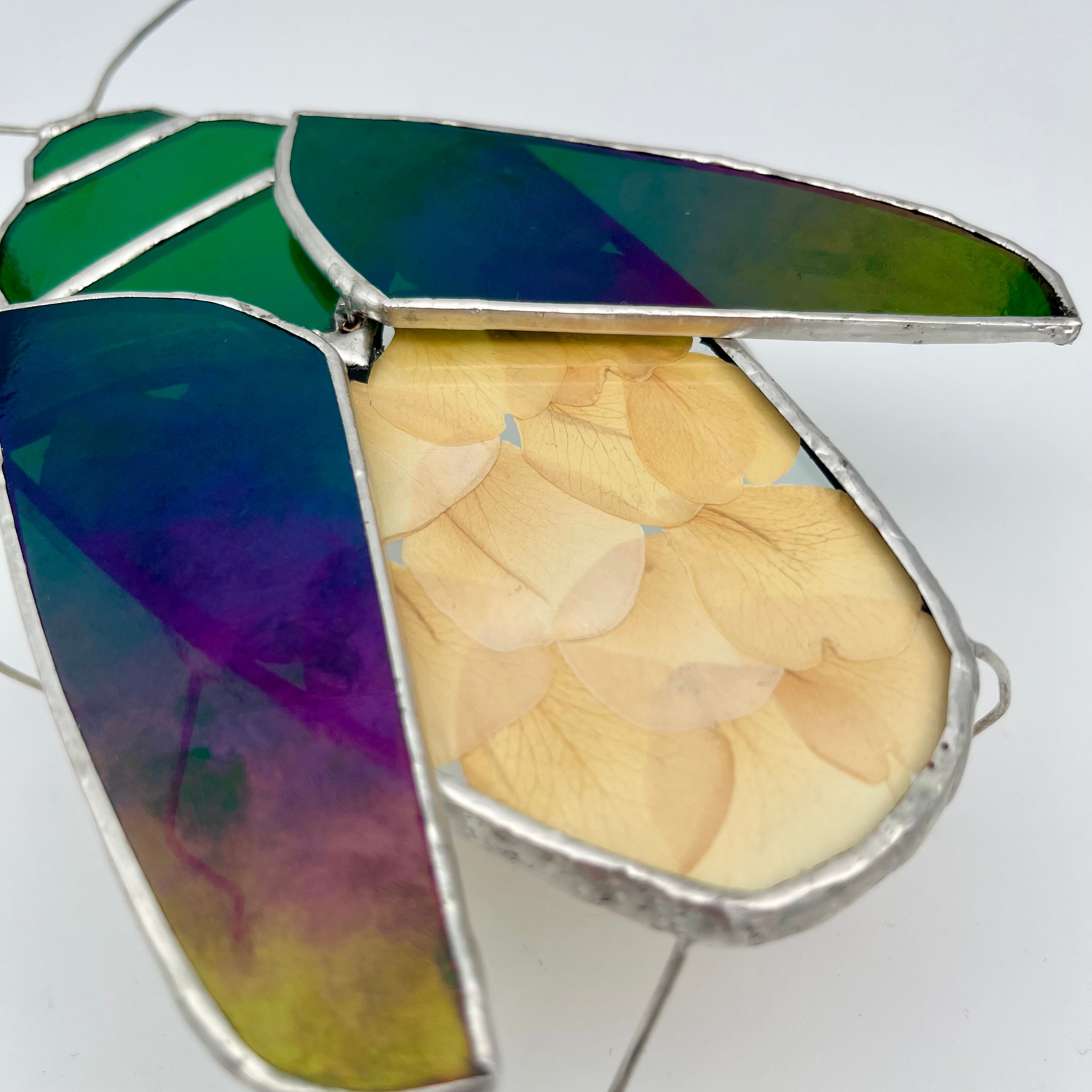 June Iridescent Green Beetle